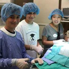 Vet-Academy-10-676x800