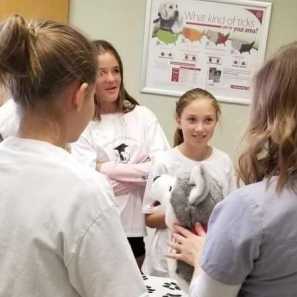 Vet-Academy-8