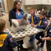 boy-scouts-5